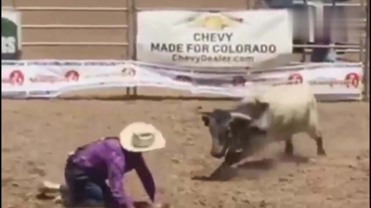 牛仔在公牛头上跳舞，场面非常惊险
