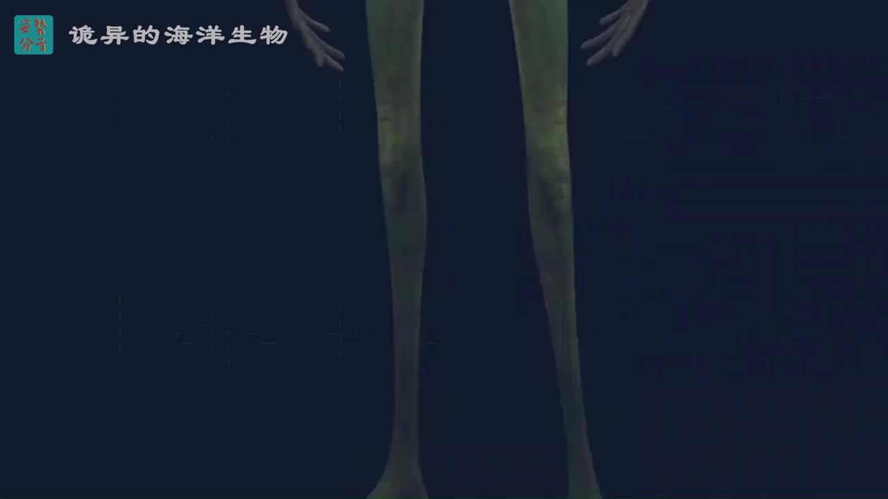 造型诡异的深海生物，反正没人看，所以就随便长了？