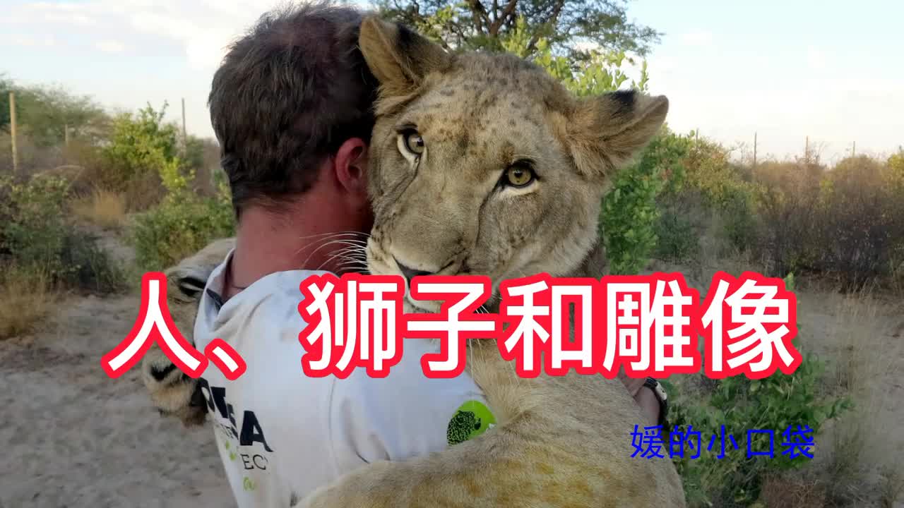 儿童英语故事阅读 伊索寓言 人 狮子和雕像 英语 新浪新闻 儿童英语故事阅读 伊索寓言 人 狮子和雕像 英语 新浪新闻