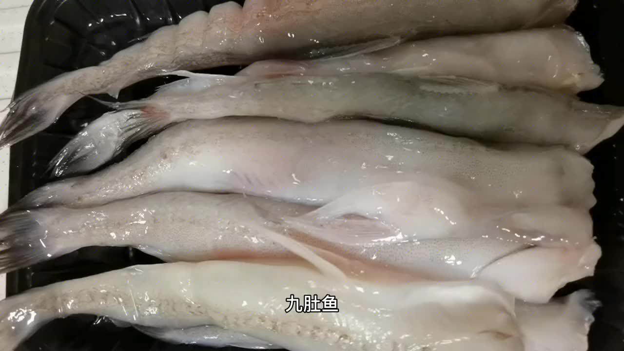 脆炸豆腐鱼,美味不可思议!豆腐鱼也称为龙头鱼,九肚鱼,水电鱼