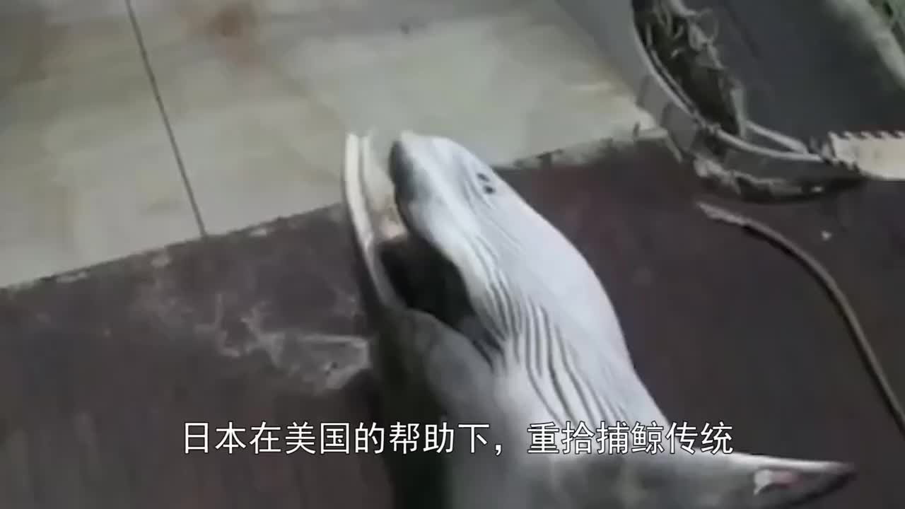 <a href=
