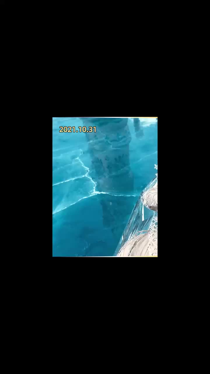 禁区巨兽的进化之路