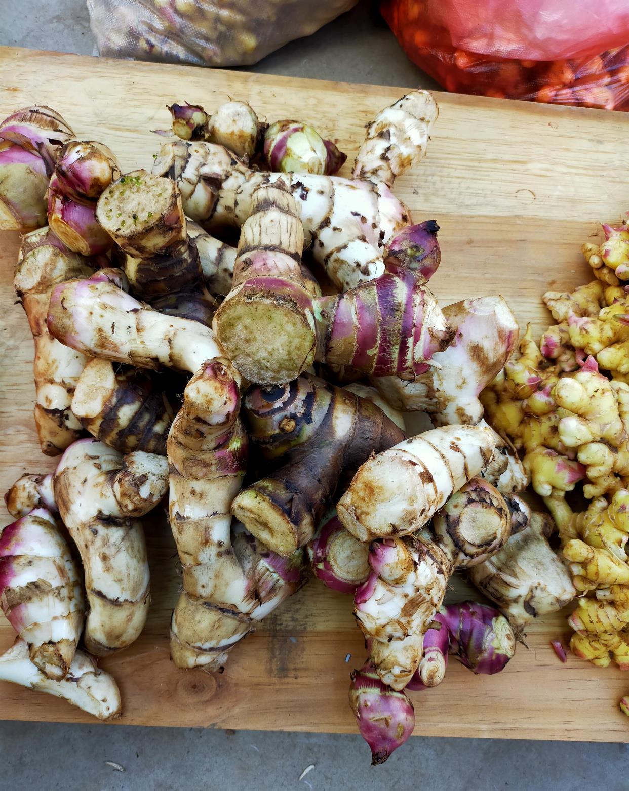 农田里的芭蕉芋以前喂猪现在人吃已经很少见了