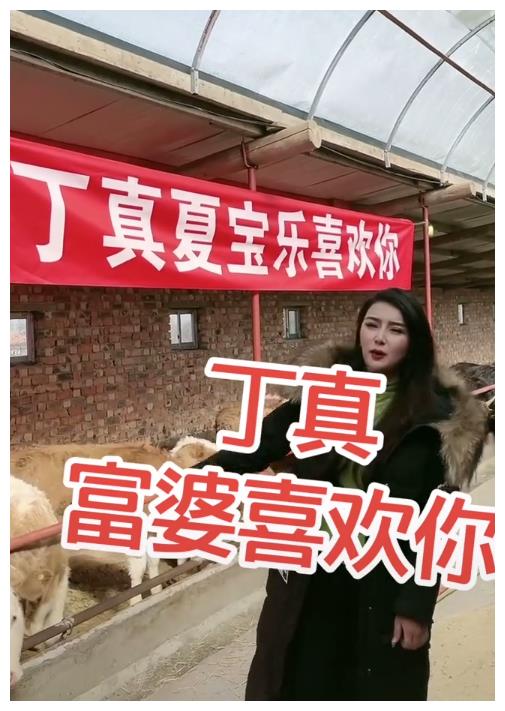 丁真被富婆看上!20万粉富婆晒豪车和牛场求婚,丑态百出让人不适