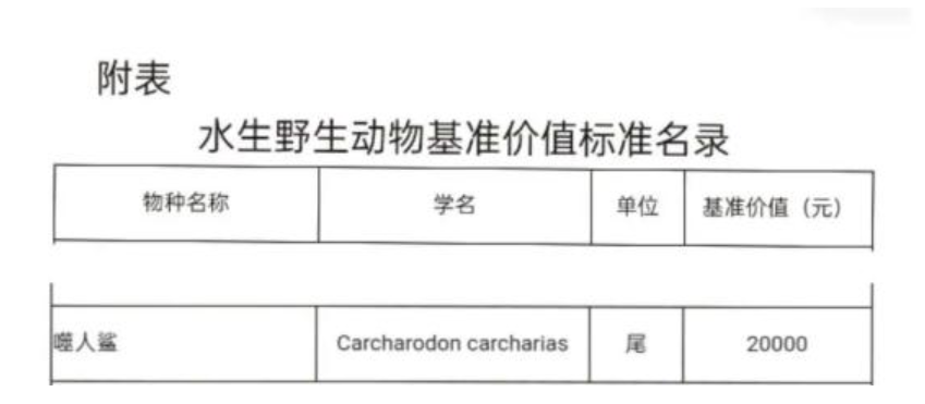 以确认，千万网红提子食用大白鲨被抓，或将面临10年监禁休闲区蓝鸢梦想 - Www.slyday.coM