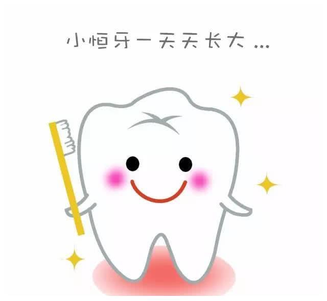 牙齿的爱恨情仇|乳牙|恒牙|尖牙_新浪新闻