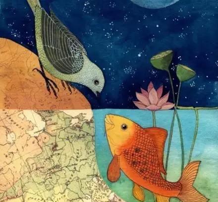 飞鸟与鱼飞鸟与鱼