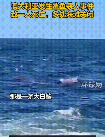 电影《大白鲨》情节在<a href=