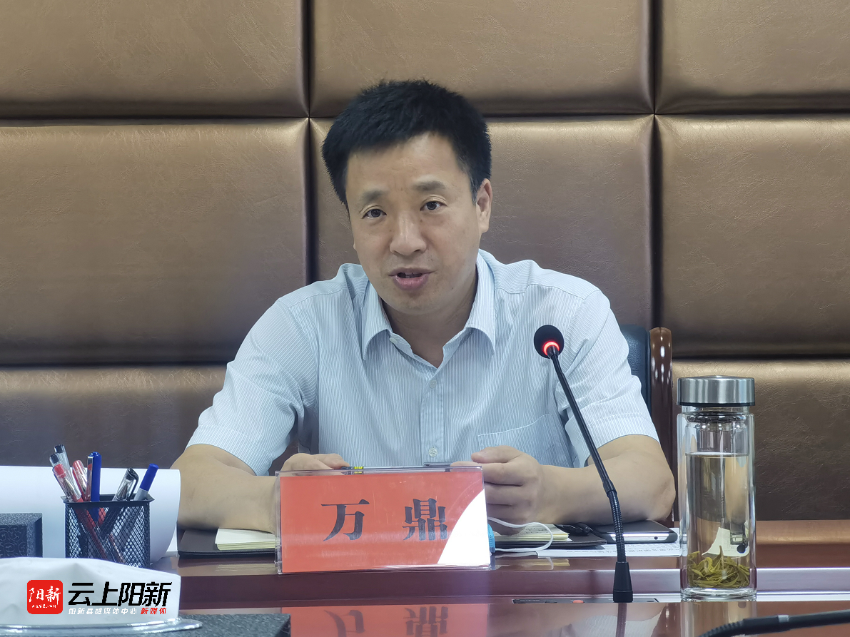 阳新县召开高铁片区控规规划初步方案汇报会|杨波|高铁|初步方案_新浪