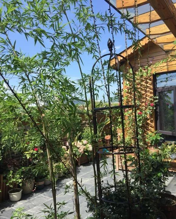 农庄小院|用一座小院,装饰你的生活
