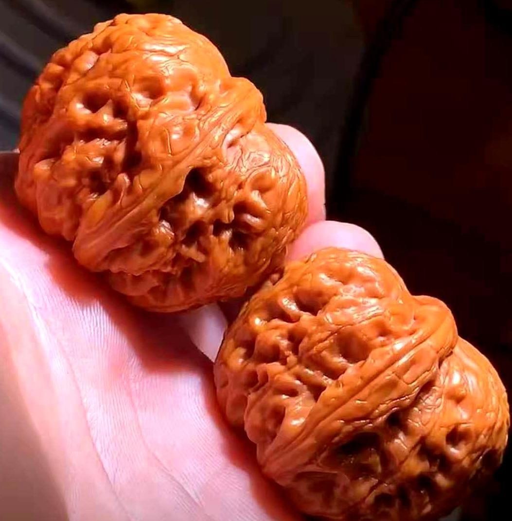 150种文玩核桃品种分享之95平谷元宝狮子头