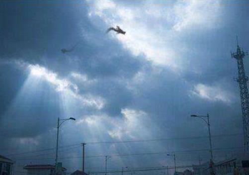 1944年坠龙到底是怎么回事为何一夜之间消失了去哪了