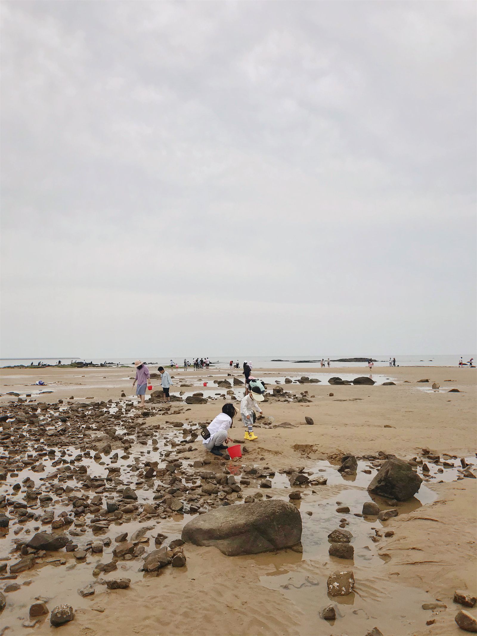 日照刘家湾赶海园的赶海攻略来啦日照赶海攻略