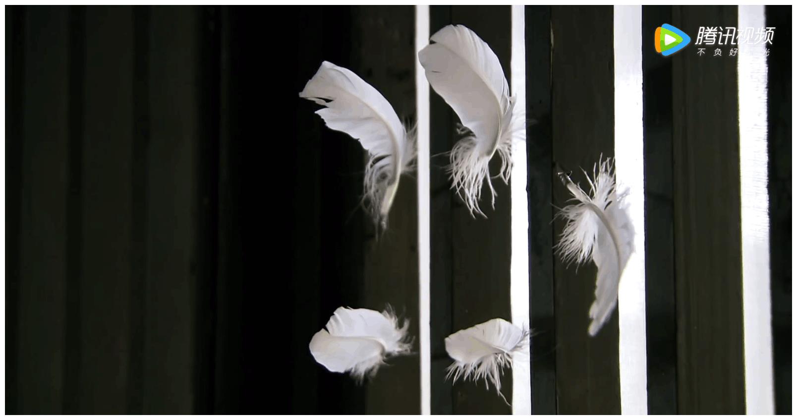 李莫愁的冰魄银针,明月心的蝴蝶镖