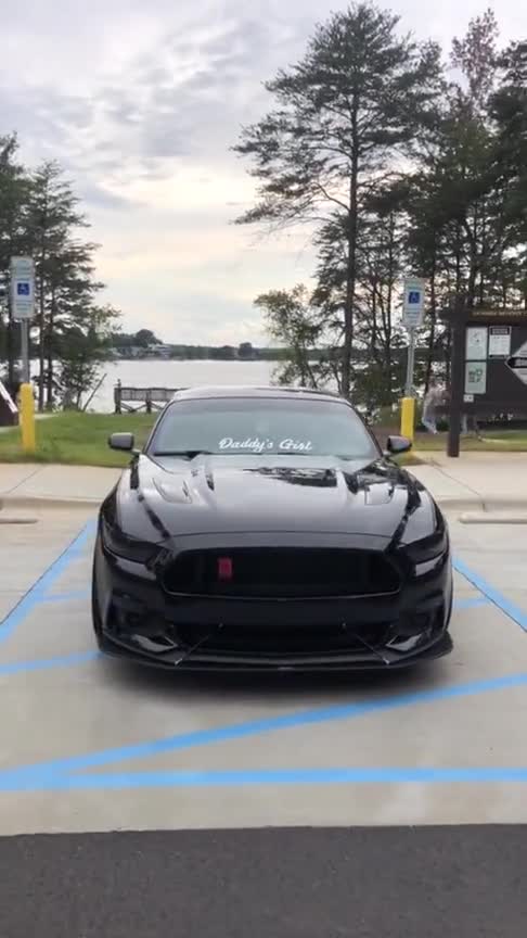 不是什么豪车也不是奔驰宝马就一小野马你怎么看