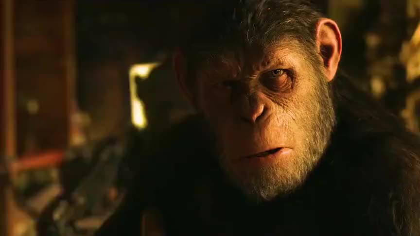 科巴在凯撒的心中,留下了太重的阴影