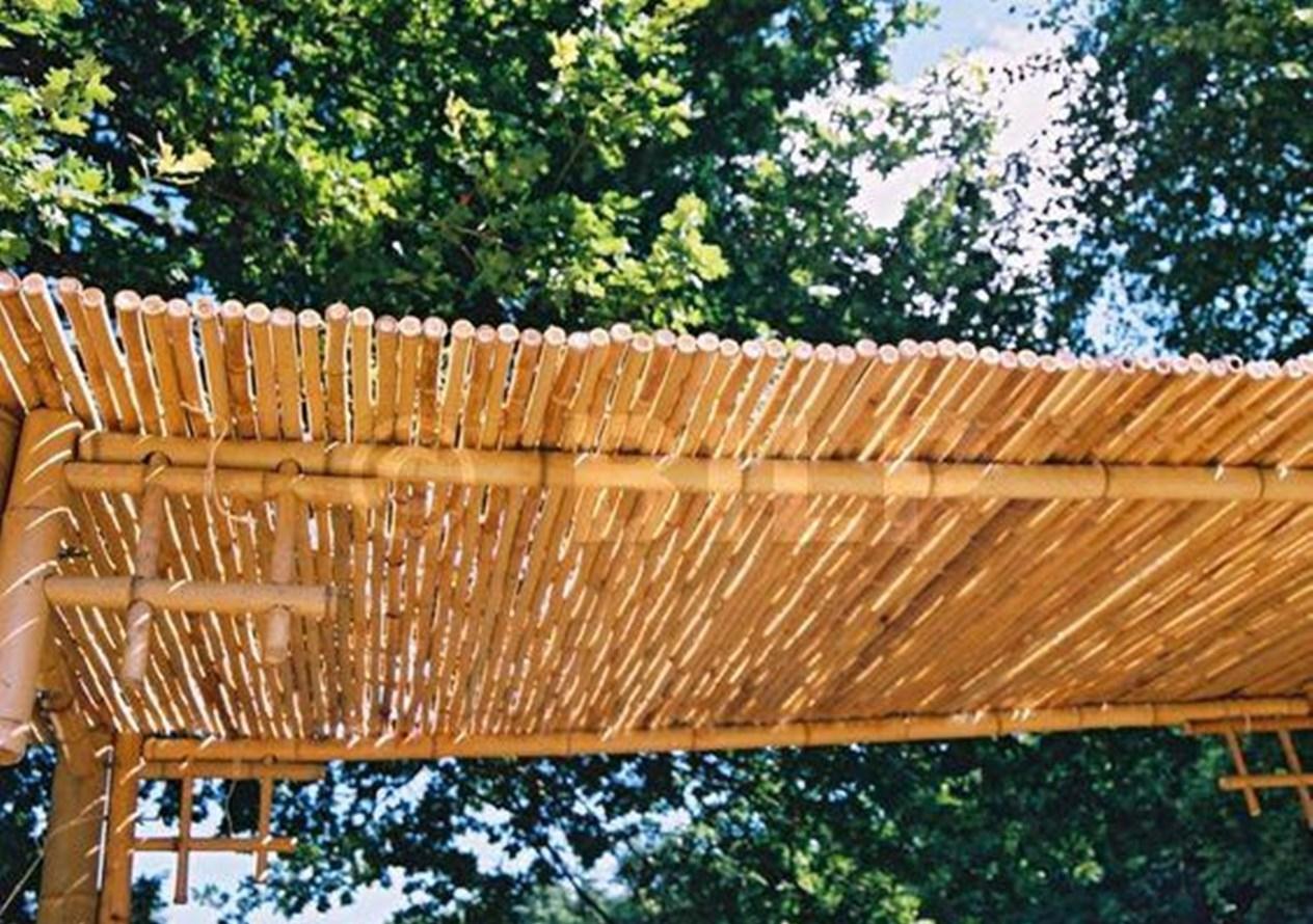 小院搭个漂亮的廊架,根本用不着钢管,砍几根竹子结实耐用十多年