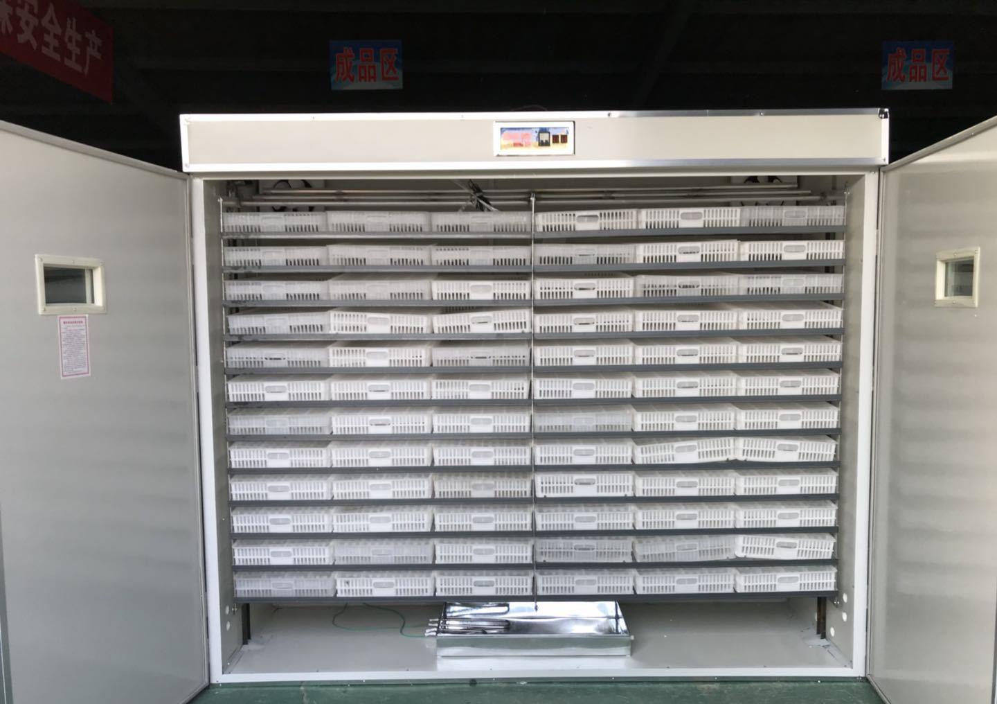 孵化机孵化鸡蛋十大注意事项小鸡孵化机小鸡孵化箱 财经头条