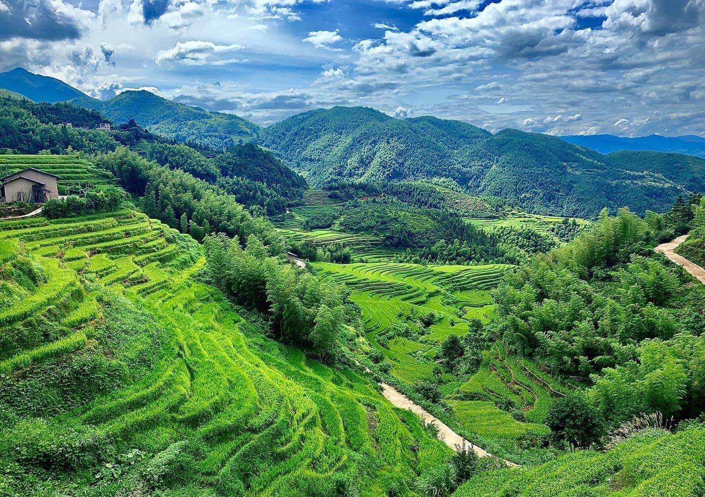 中国到底哪里的梯田最好看？[29P]|无奇不有 - 武当休闲山庄 - 稳定,和谐,人性化的中文社区