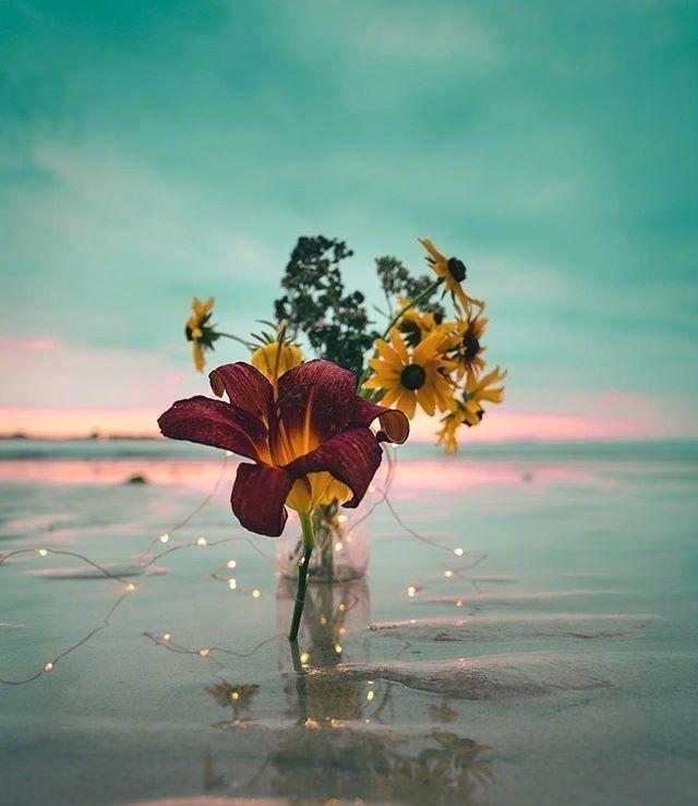 让自己释怀的心情句子温暖豁达吸引人点赞