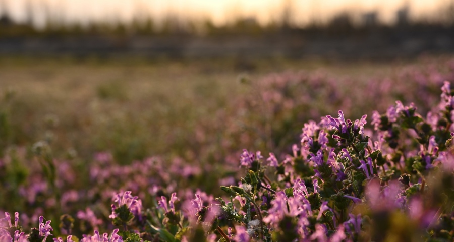 2021年中国家电业年度汉字:学会在煎熬中逆生长-家电圈官网
