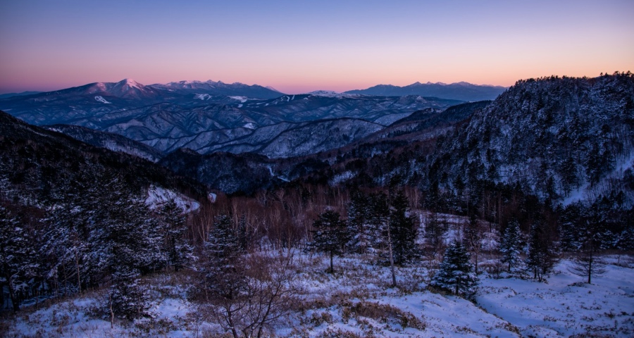 2022年家电市场大战全面开火-家电圈官网