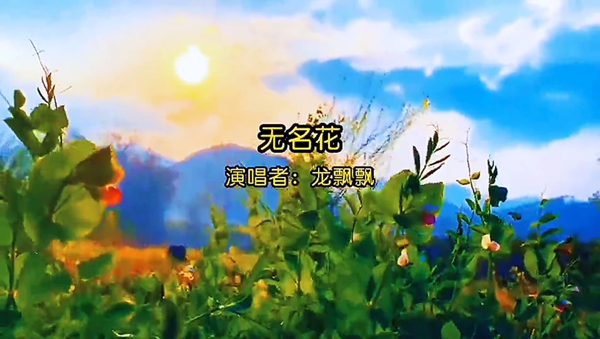 经典老歌《无名花》，龙飘飘演唱，歌声悦耳动听