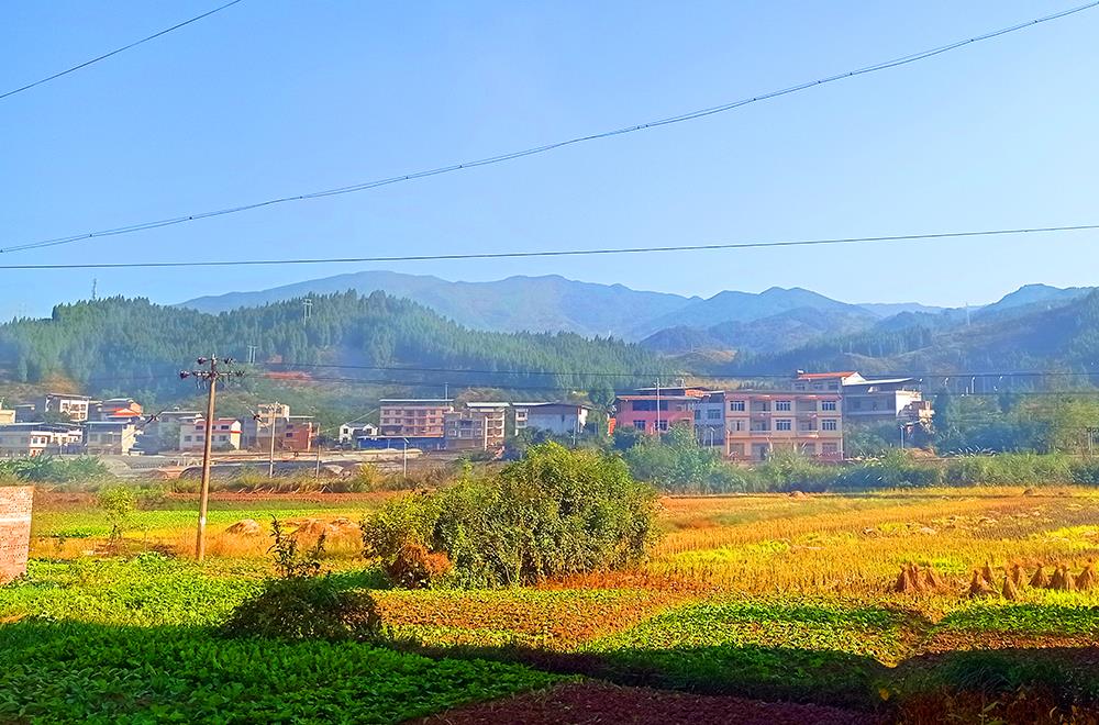 重庆开州竹溪镇:"虽然我存在感不强,但我够走运啊!