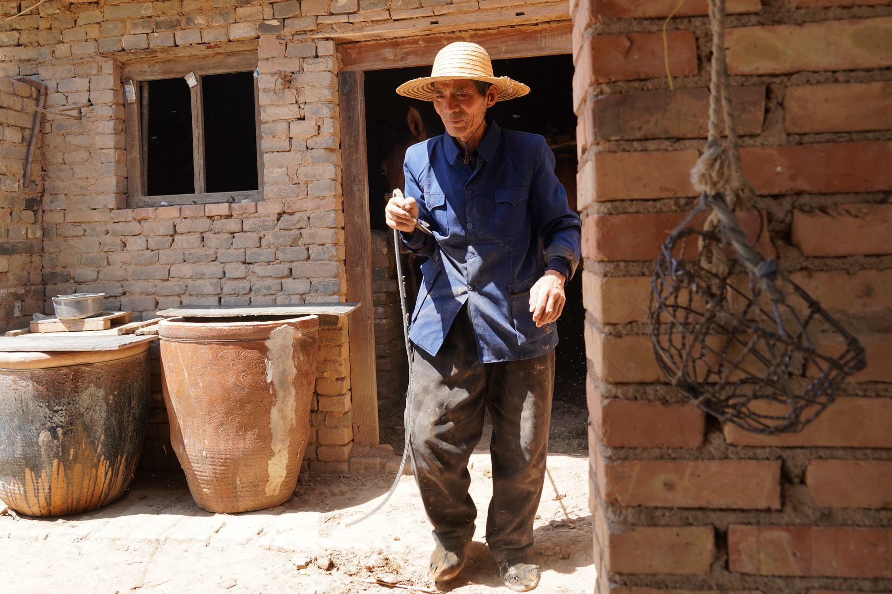 陕西农民大叔1头骡子养了20年,老伴说不怕人笑话,她都嫉妒