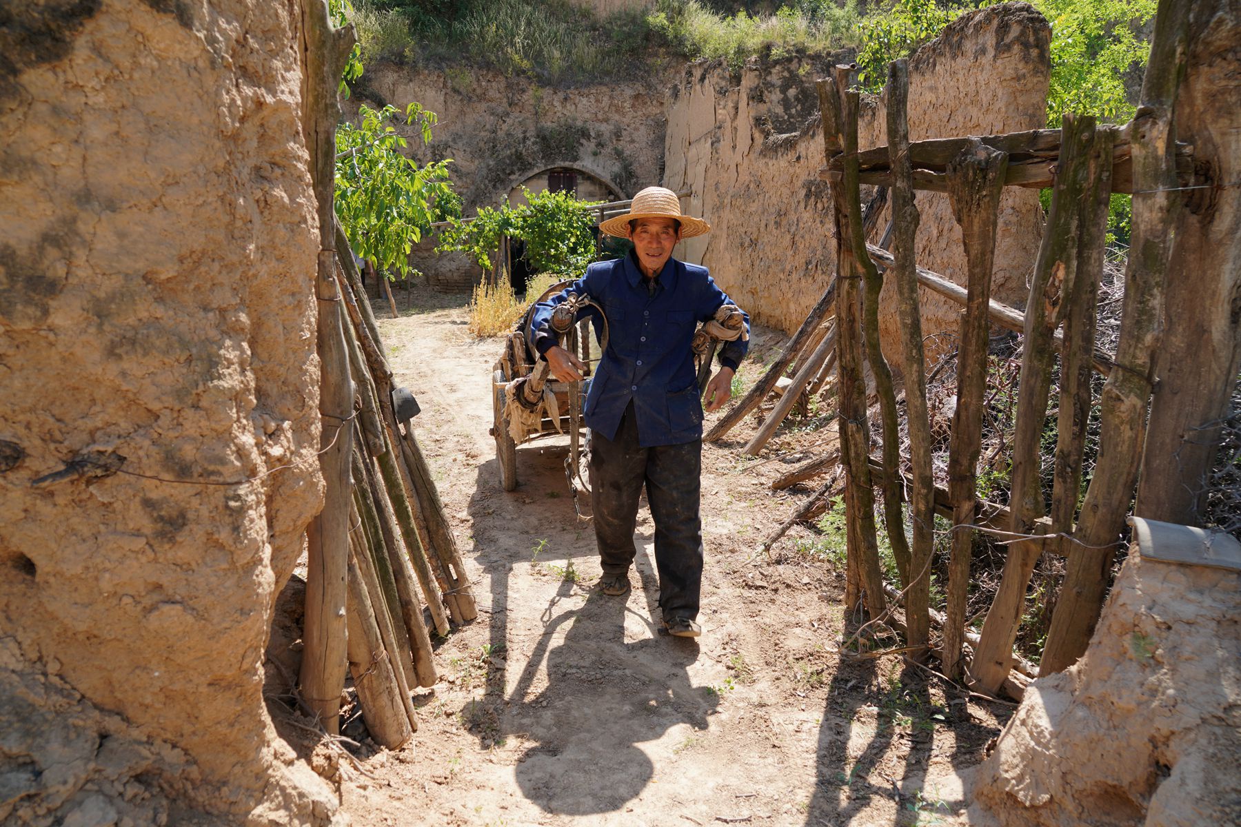 陕西农民大叔1头骡子养了20年,老伴说不怕人笑话,她都嫉妒