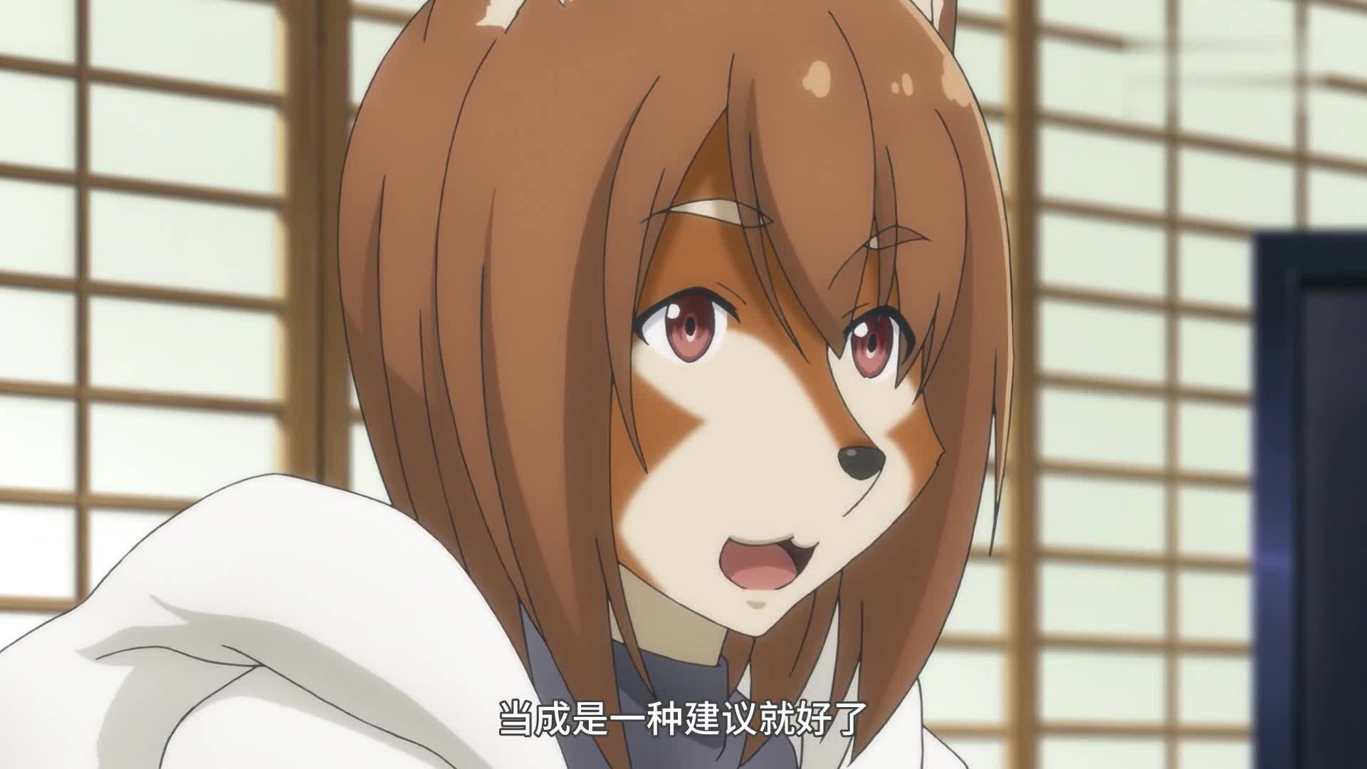 飞翔的魔女:真琴找犬养小姐占卜,想治好路痴,臣妾做不到啊