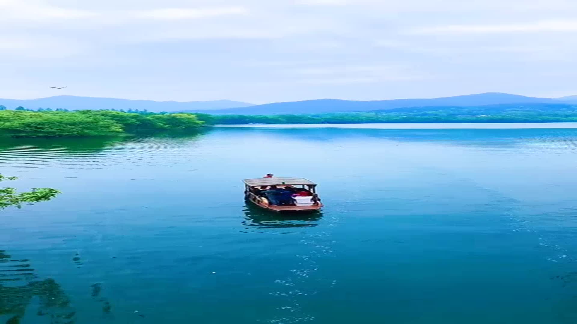 一首声音悦耳十八的姑娘一朵花卓依婷