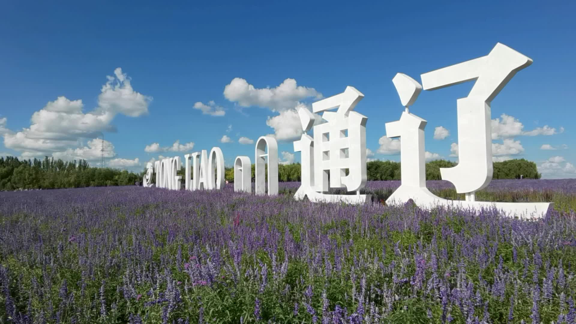 通辽市薰衣草花园通辽雕塑原创视频