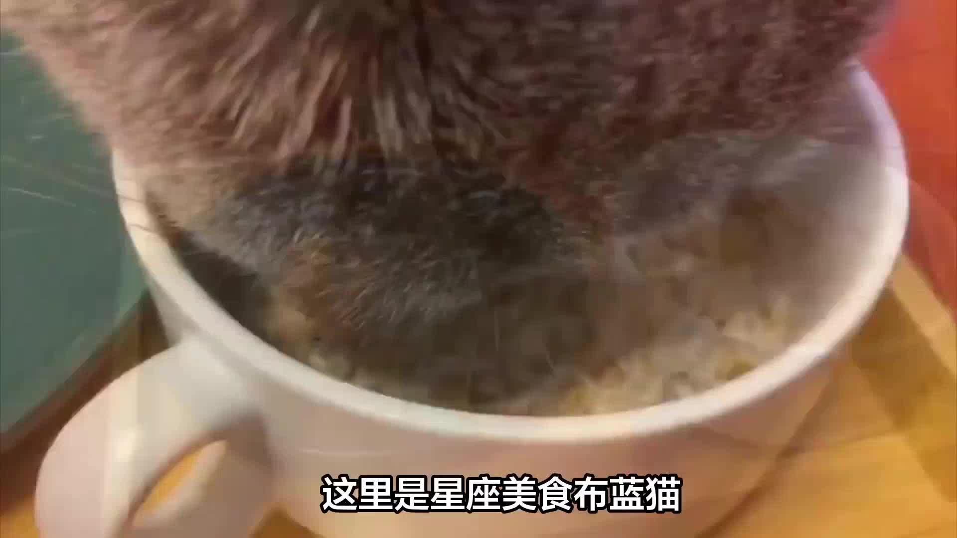 星座美食布蓝猫分享12星座今日运势