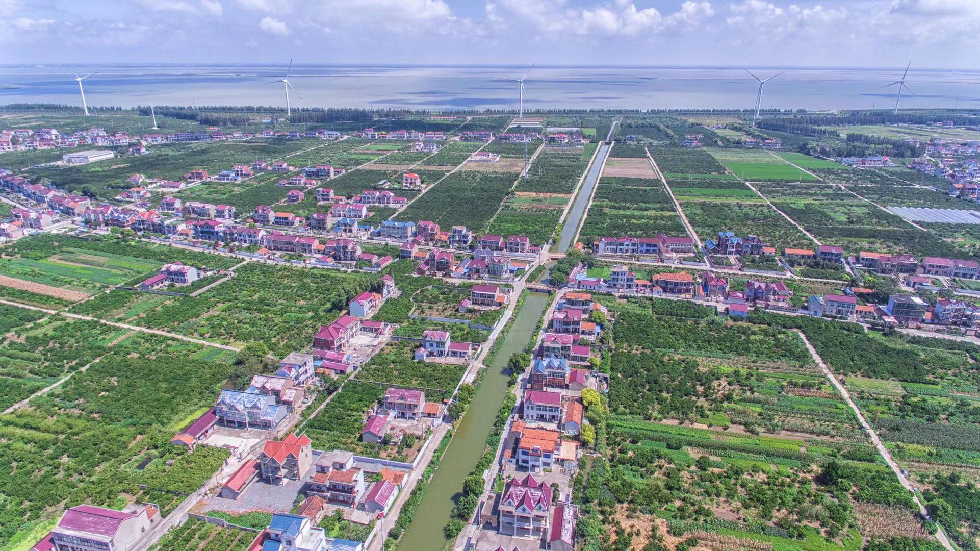 文化创意将助推上海长兴潘石村打造文化窗口