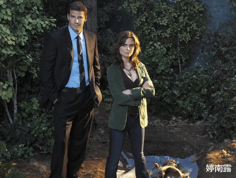 识骨寻踪陪伴观众数年人称骨科教科书看剧带你学知识