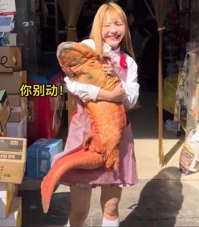 以确认，千万网红提子食用大白鲨被抓，或将面临10年监禁休闲区蓝鸢梦想 - Www.slyday.coM