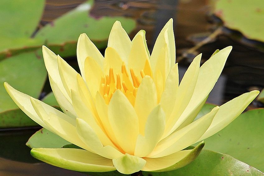 其实,女人这样的默许,就是在答应你的追求休闲区蓝鸢梦想 - Www.slyday.coM 其实,女人这样的默许,就是在答应你的追求休闲区蓝鸢梦想 - Www.slyday.coM