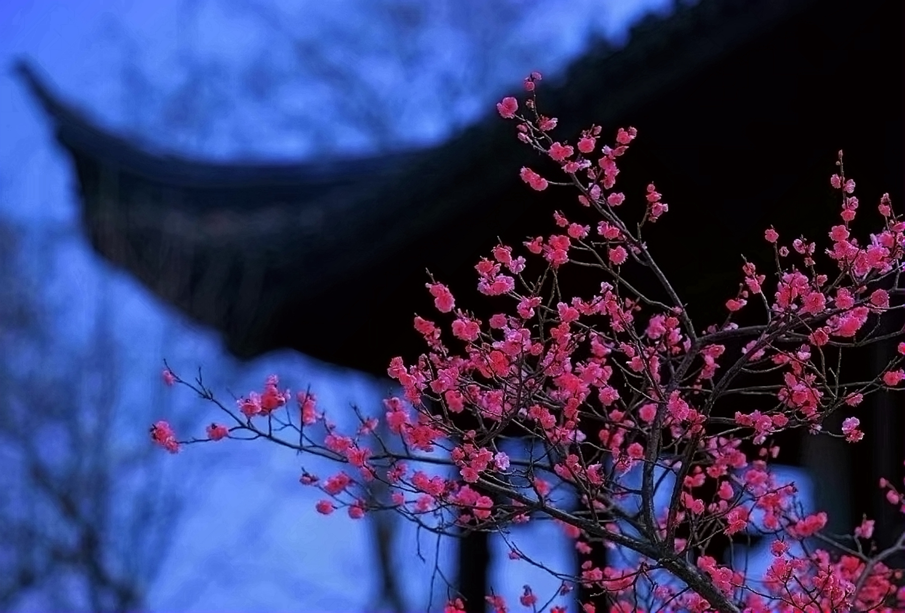 鬼魂探测器下载