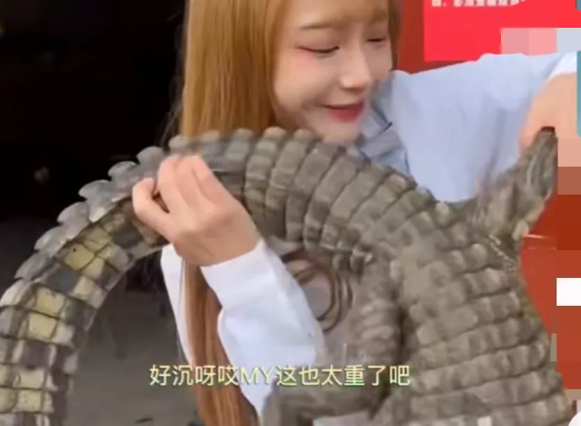 以确认，千万网红提子食用大白鲨被抓，或将面临10年监禁休闲区蓝鸢梦想 - Www.slyday.coM