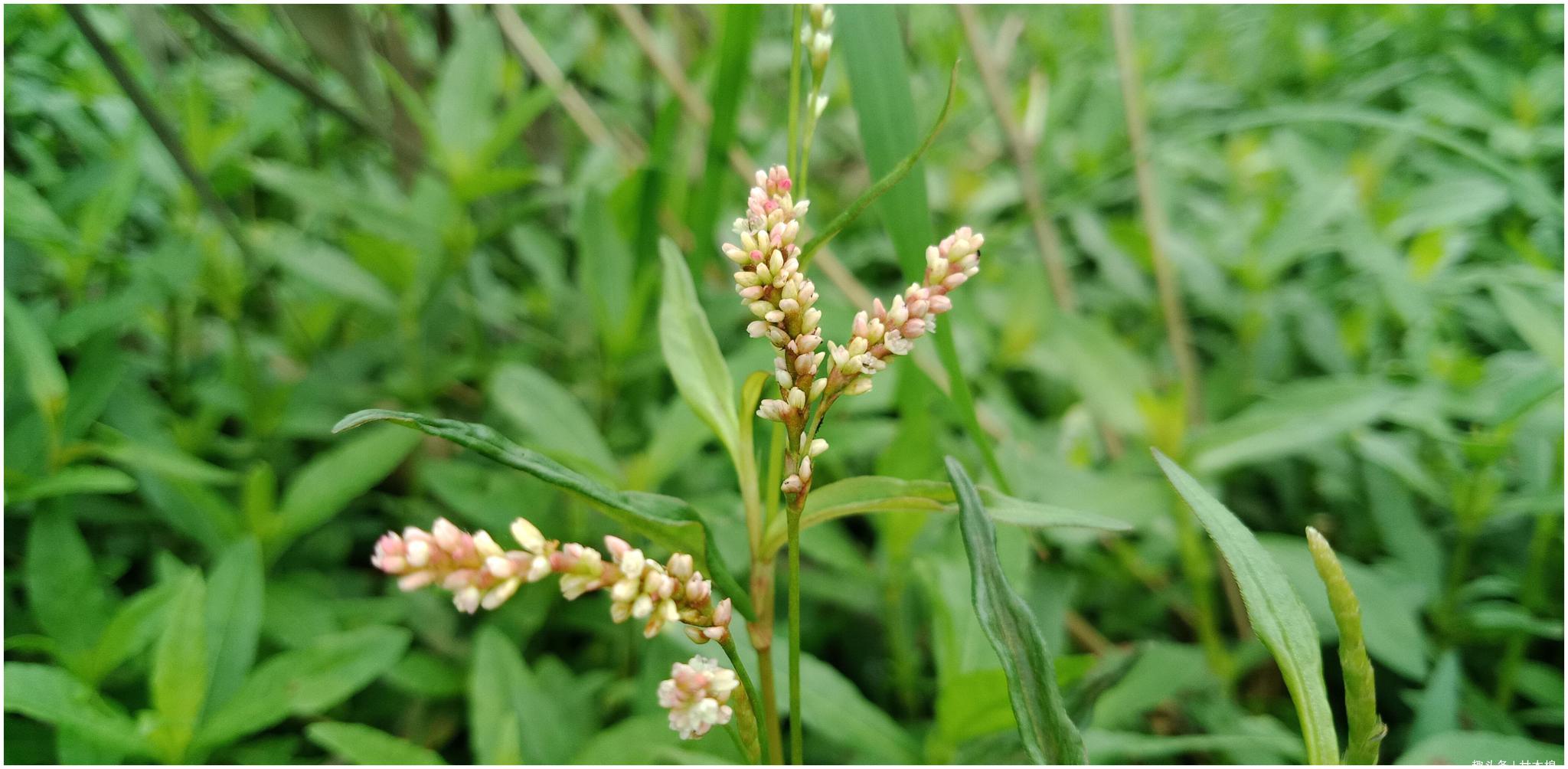 新闻搜索_新浪搜索_新浪网