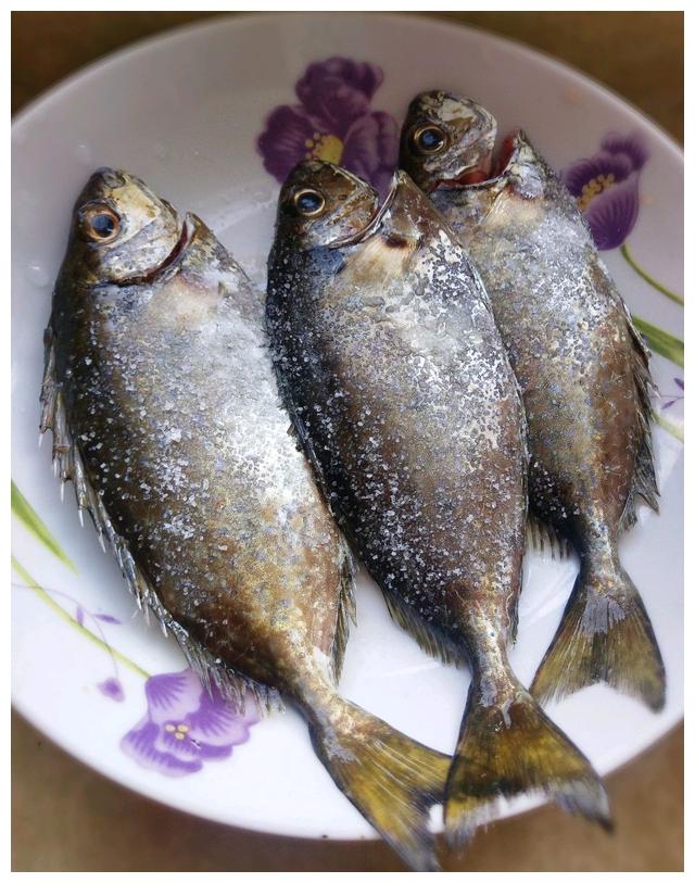 想要补补来一碗乌子婆鱼粥营养顶级做法超简单