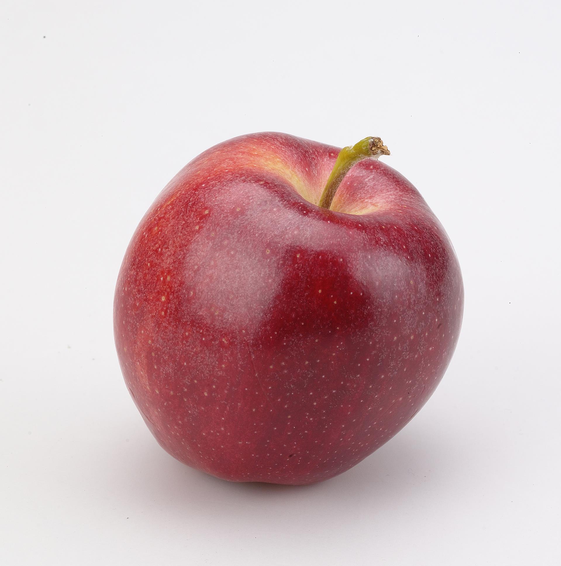 10个你不知道的水果冷知识香蕉属于浆果火龙果有多少种子