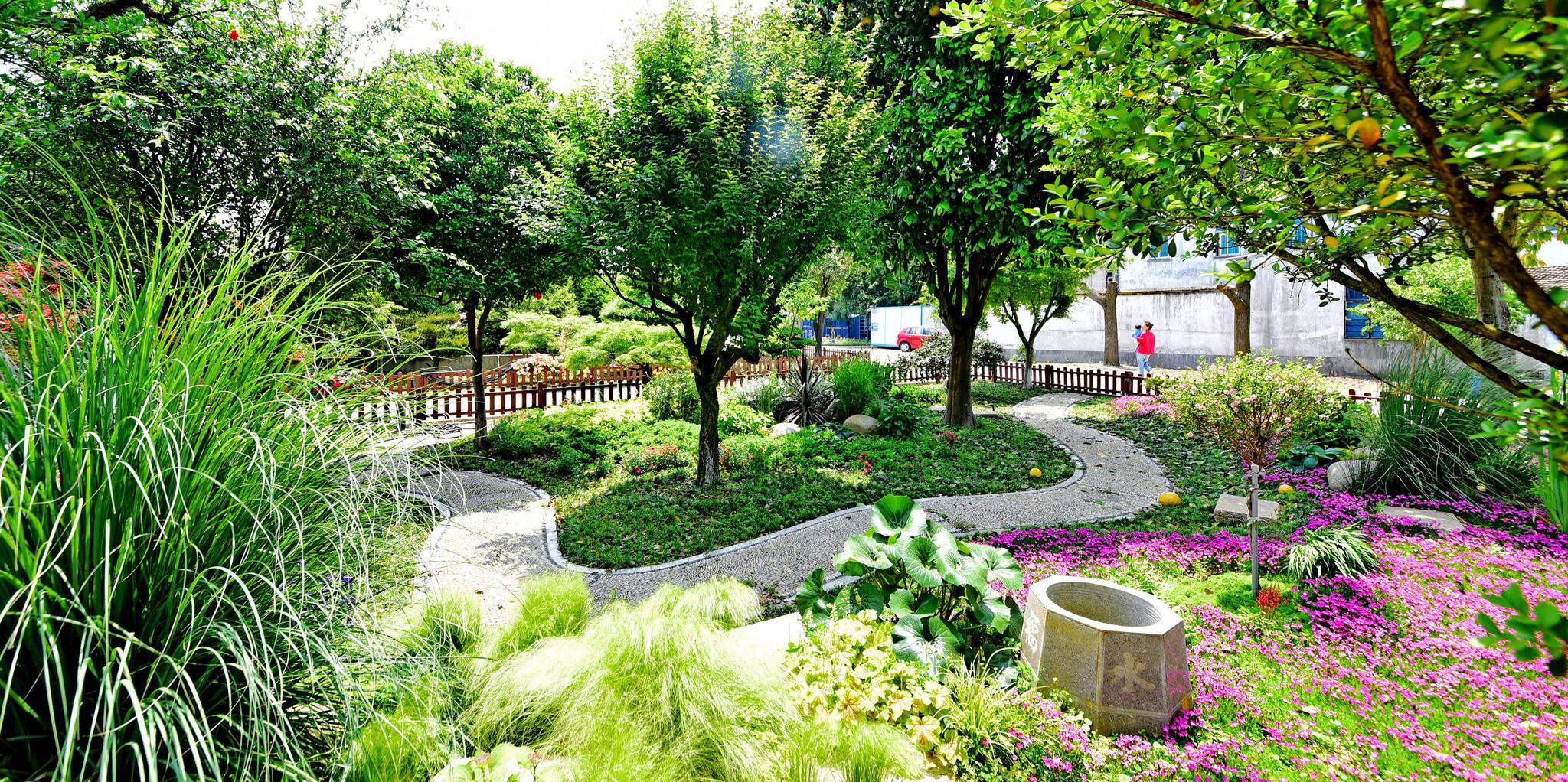 东港初夏美景之——花园家庭的家庭花园