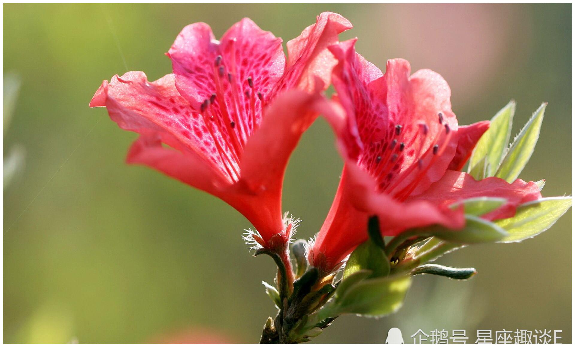 12月26日星座运势 金牛感情和睦 天秤注重细节 水瓶脚踏实地 财经头条
