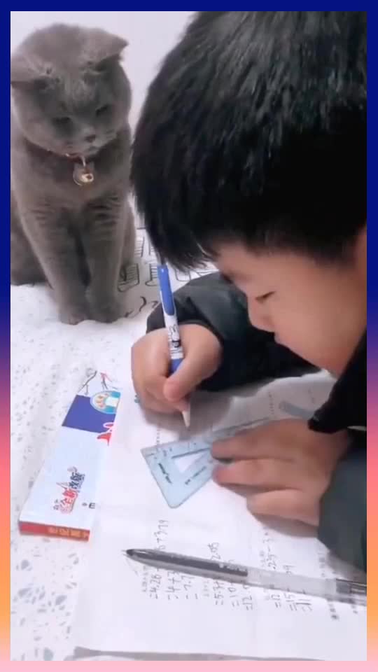 好一只爱学习的猫是不是打扰你上清华了