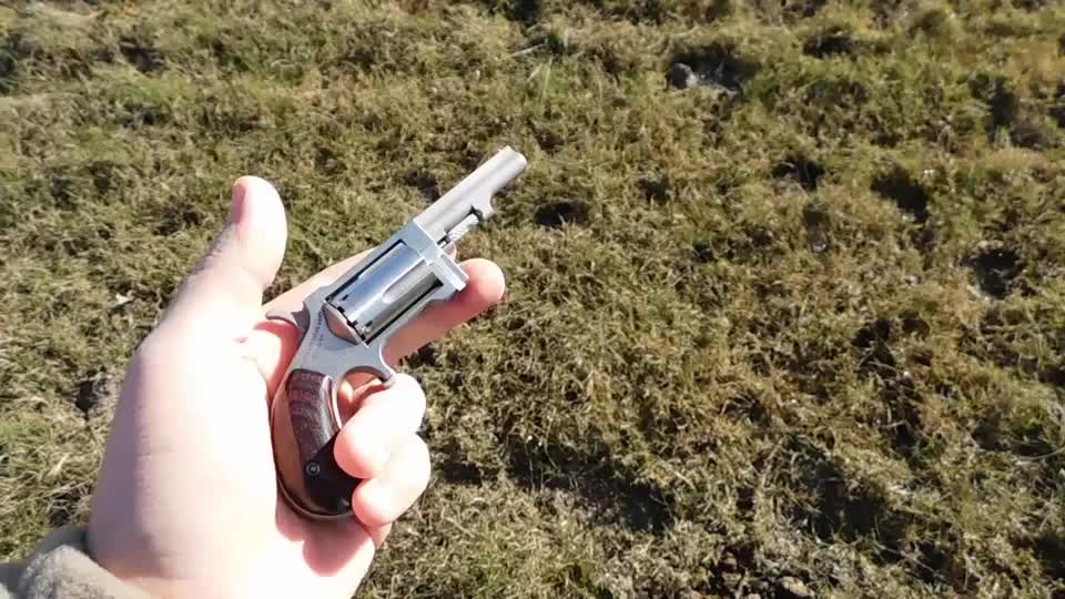 只有手掌大小的左轮手枪,做工很精致,发射点22小口径弹药