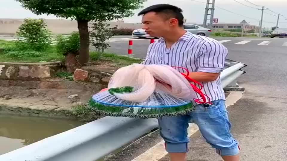 教你如何在桥上撒网捕鱼,太牛了!
