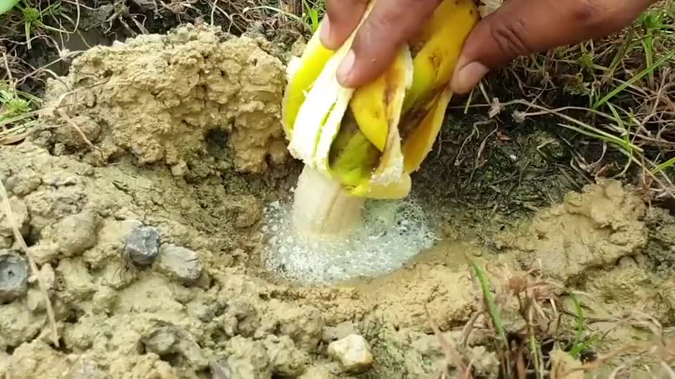 为您推荐: 懒人早餐大救星佛跳墙香蕉慕斯包饭团 为您推荐: 鱼塘里面