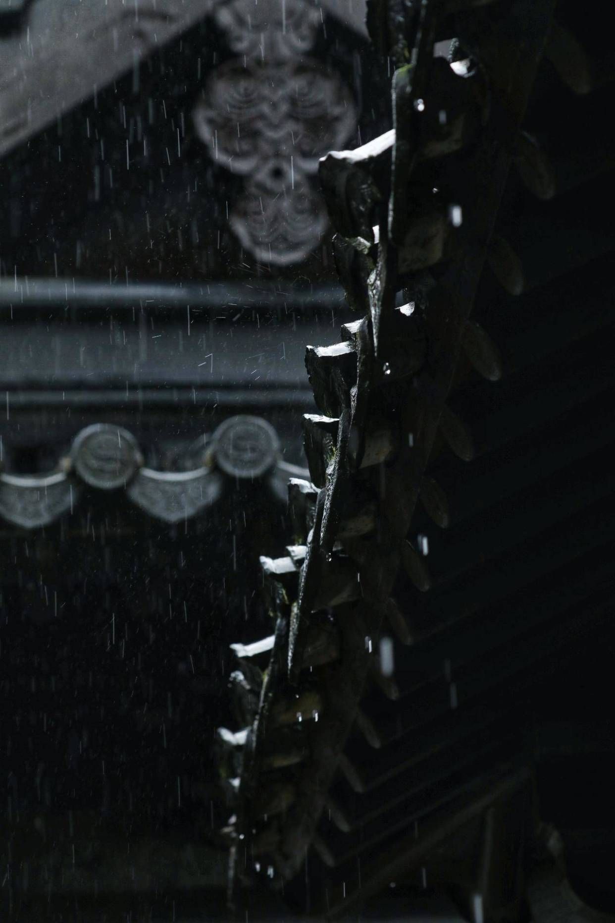 我是一个对雨有着独特情怀的人,最喜欢在青砖黛瓦的屋檐下,看着雨水